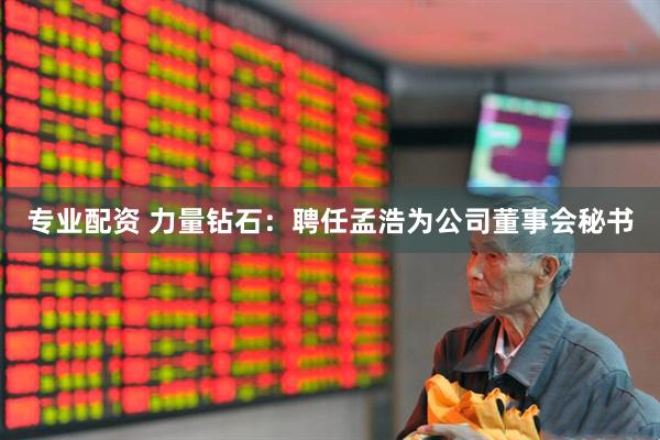 专业配资 力量钻石：聘任孟浩为公司董事会秘书